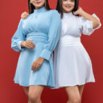 French Romantic Mini Dress