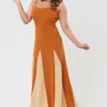 Amber Panelled Flare Dress