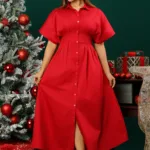 DARTED BUTTONED DOWN DRESS