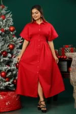 DARTED BUTTONED DOWN DRESS